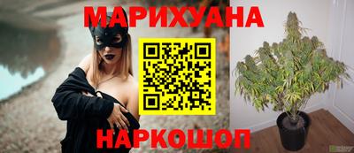 гидра Обнинск