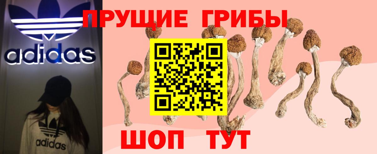 Псилоцибиновые грибы мицелий Симферополь